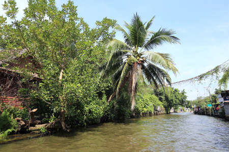 BANGKOK, THAILAND - December 15, 2014: boating on the Chao Phraya River December 15, 2014 in Bangkok, Thailandのeditorial素材