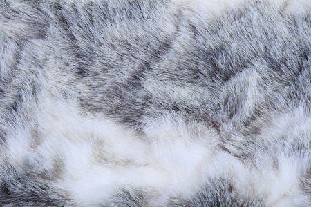 macro texture gray rabbit fur studio