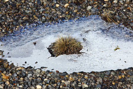 macro texture thin ice in shallow water in the sunlightの写真素材