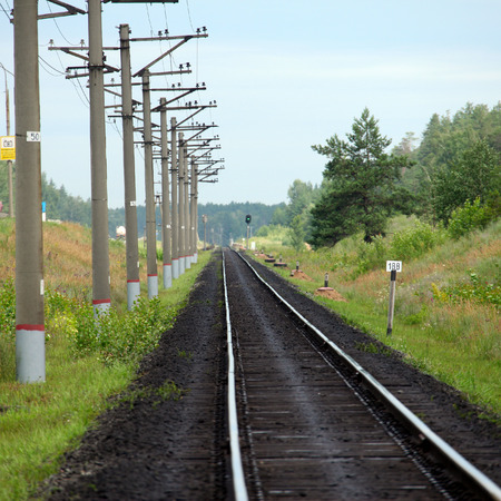 Summer landscape of railroad tracks and the highway next to a pine forestの写真素材