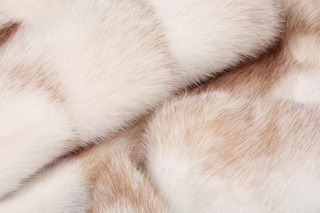Macro texture of fur mink light color studio