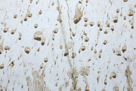 macro texture drops of mud on a white background