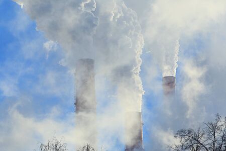 industrial landscape pipe plant with white smoke and the tops of trees without leaves against the blue skyの写真素材