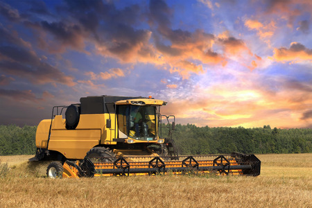 an yellow harvester in workの写真素材
