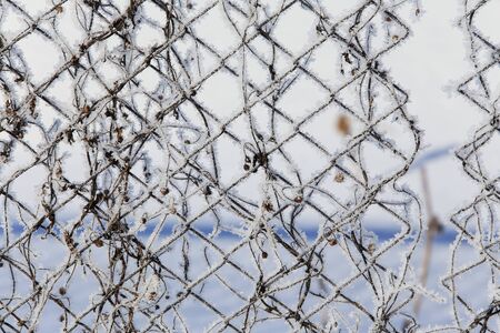 macro texture frost on a metal fence