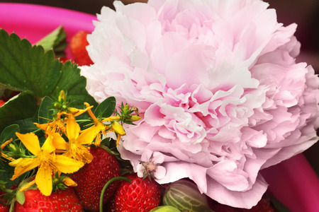 macro ripe strawberry and flowers in the summer garden on a sunny dayの写真素材
