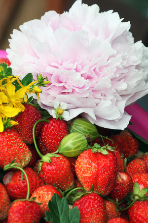 macro ripe strawberry and flowers in the summer garden on a sunny dayの写真素材