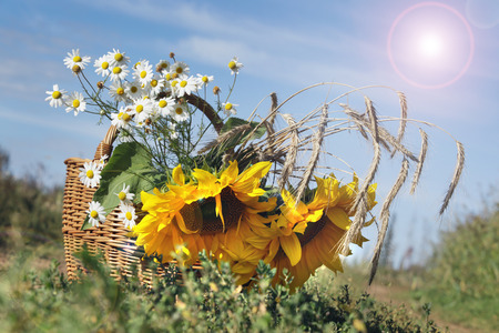 close-up of a basket of flowers sunflower, daisies and ears on the roadの写真素材
