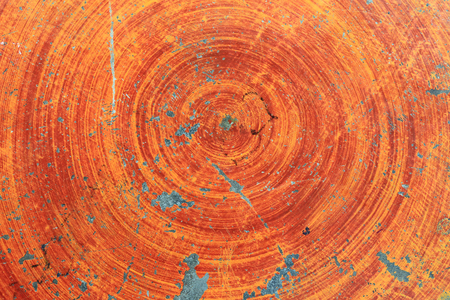 Macro wood texture saw cut in natural lightの写真素材