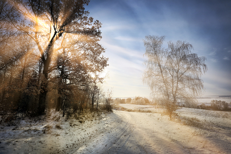 winter landscape snow-covered fields, trees and roads in sunlight raysの写真素材