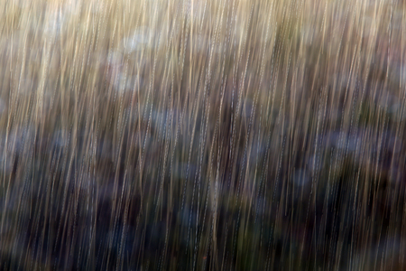 macro blurred image of the solar rain in the summer gardenの写真素材