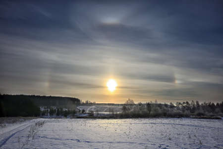 winter landscape of sunrise over the snow-covered field and treesの写真素材