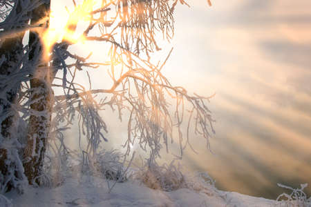 winter landscape misty morning on the river at sunriseの写真素材
