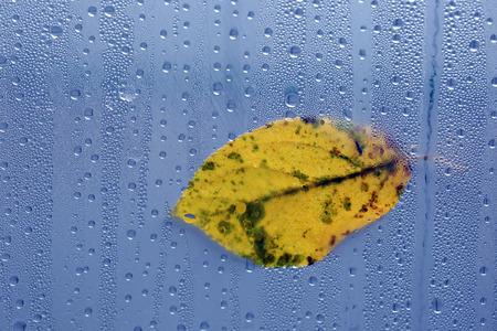 macro texture water drops on the glass in the gardenの写真素材