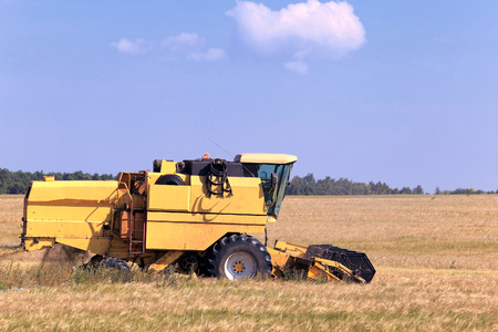 summer landscape combine harvester in the fields on a sunny dayの写真素材