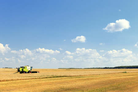 summer landscape combine harvester in the fields on a sunny dayの写真素材