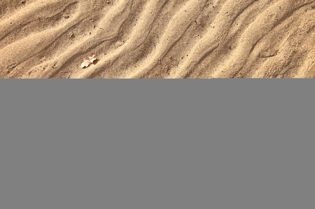 texture of sand. footprints in the sand.の写真素材