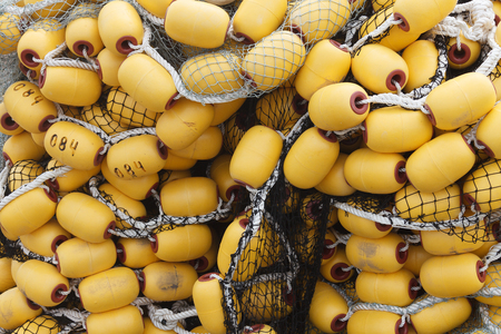 fishing net cork floats in the summer sun