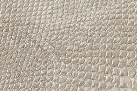 leather texture ,snake skin texture