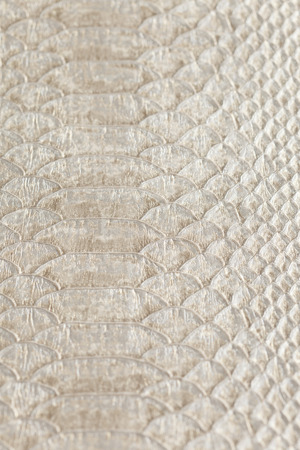 leather texture ,snake skin texture