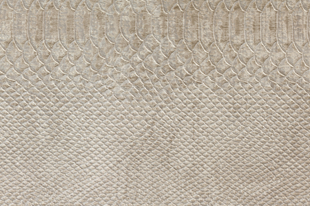 leather texture ,snake skin texture