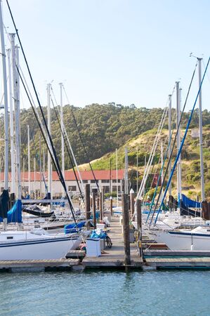 Many docked sailboats in a local marina in the bay.の写真素材