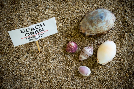 beach open miniature