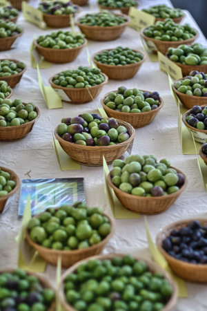 Collection of table olive cultivarsの写真素材