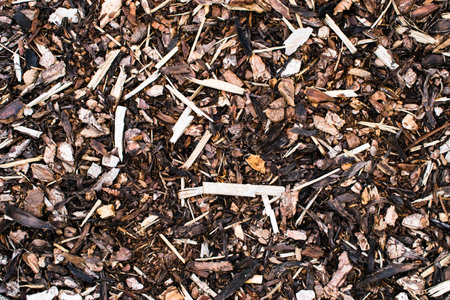 Wood sawdust texture material background closeup, top viewの写真素材