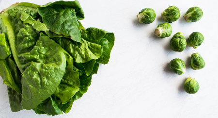 Fresh raw Brussels sprouts and salad on a white backgroundの写真素材