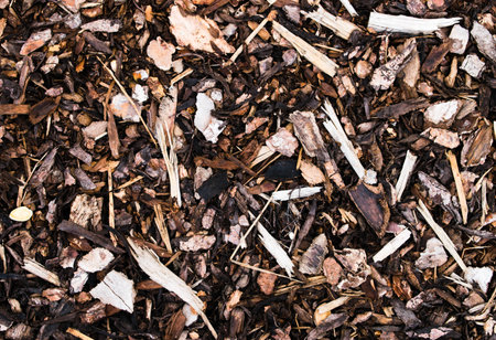 Wood sawdust texture material background closeup, top viewの写真素材