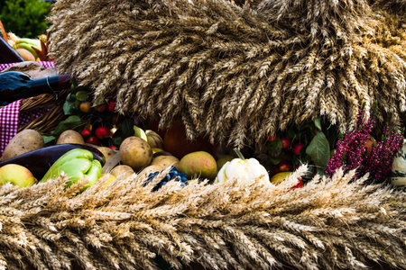 Autumn concept with seasonal fruits and vegetables and wheatの写真素材