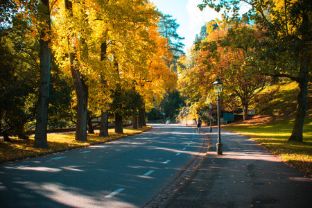 Beautiful autumn landscape with street lanternの写真素材