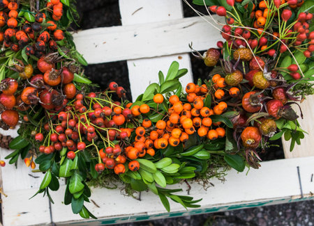 autumn wreath with berries rose hip, hawthorn and rowan berryの写真素材