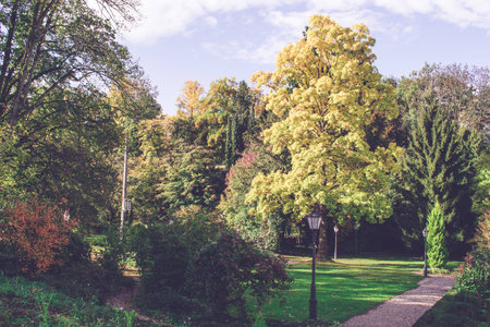 Beautiful autumn landscape with street lanternの写真素材