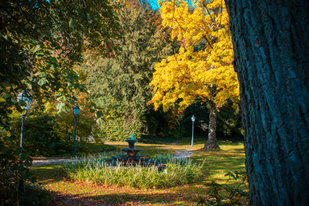 Beautiful autumn landscape with street lantern and fountainの写真素材