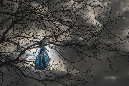 Garbage on the tree.Garbage bags hanging on the tree show the responsibility. plastic bag hanging on...