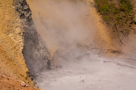 Bubbling hot spring produces sulfur gas in Yellowstone National Park. Water and grasses and steam. Geothermal activity, hot thermal springs with boiling water and fumesの写真素材