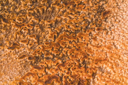 Rust colored ground from geothermal water activity in Yellowstone national park. Colorful bacteria mats form near a Geyser in the West Thumb area in Yellowstone National Park.の写真素材
