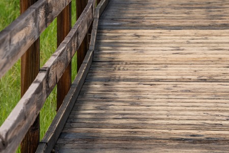 Wooden boardwalk in park. Copy space for text and ad