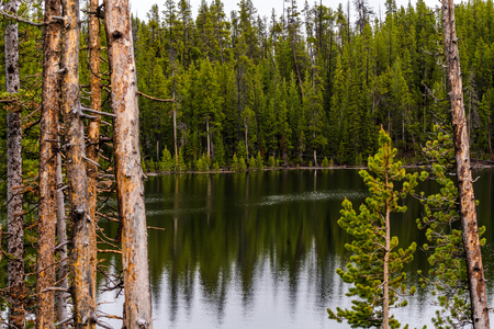 Beautiful forest lake with emerald water in pine forest. Wonderful natural view. Wild nature. Water landscape. Forest lakeの写真素材