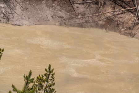 Bubbling hot spring produces sulfur gas in Yellowstone National Park. Water and grasses and steam. Geothermal activity, hot thermal springs with boiling water and fumesの写真素材
