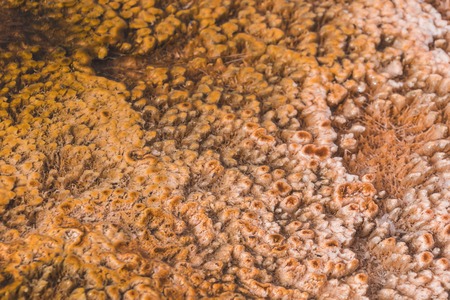 Rust colored ground from geothermal water activity in Yellowstone national park. Colorful bacteria mats form near a Geyser in the West Thumb area in Yellowstone National Park.の写真素材