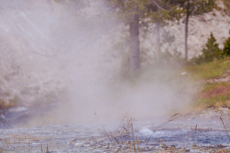 Bubbling hot spring produces sulfur gas in Yellowstone National Park. Water and grasses and steam. Geothermal activity, hot thermal springs with boiling water and fumesの写真素材
