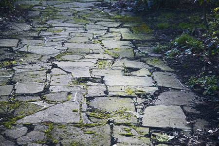 Neglected pathwayの写真素材