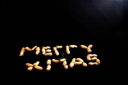 Monkey nuts spelling the word merry xmas