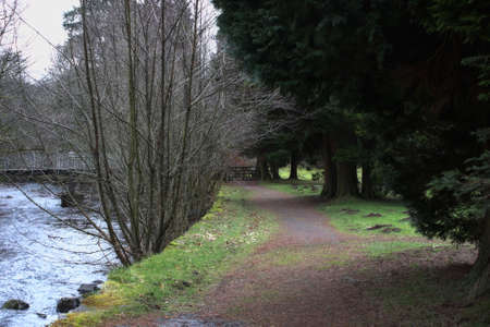 A scenic  tree lined country walk along side a stream and bridgeの写真素材