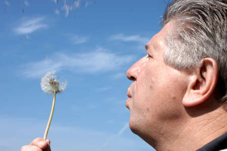mature man head and shoulders blowing dandelion seeds with blue sky backgroundの写真素材