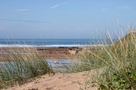Looking at the beach through the grass on the sand dunesの写真素材