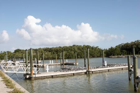 Seagulls on a mooring station on a sunny dayの写真素材